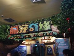 -萌宠奇缘