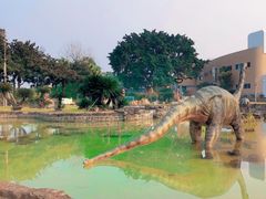 -自贡恐龙博物馆