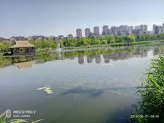 -前关湿地公园
