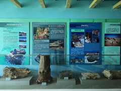 -延庆地质公园博物馆