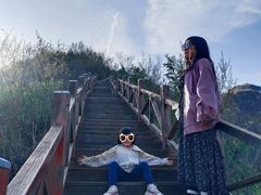 -大岭沟猕猴桃谷风景区