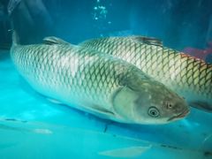 -红日饭店(裕隆三路店)