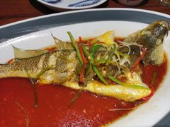 大黄鱼-前海沿·青岛菜(五四广场永旺店)