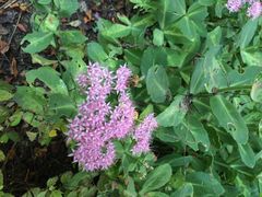 iphone_upload_pic-长春公园(普阳街道)