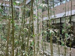 -真爱中国餐馆·年华店(朱雀大街店)