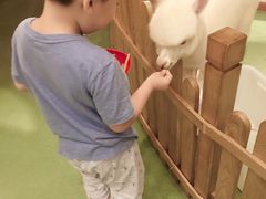 -藦茜花园宠物主题亲子互动体验馆(国顺东路店)