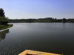 -东郊湿地公园