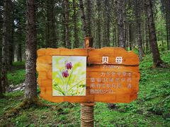 -硗碛藏寨·神木垒景区