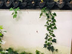 -汇龙潭