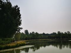 -东郊湿地公园
