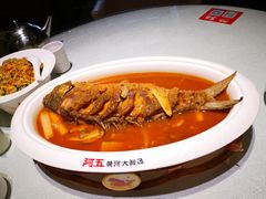 -阿五黄河大鲤鱼(纬三路店)