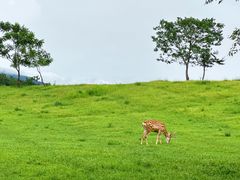 -良渚古城遗址公园