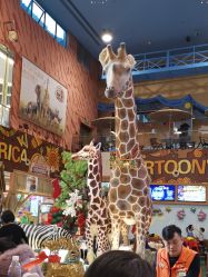 -卡通尼·Safari非洲探索乐园·生日会(金桥国际商业广场店)