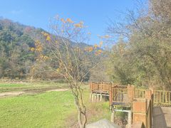 -梅岭铜源峡风景区