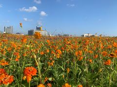 -上海华凯华美达广场酒店