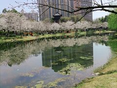 -堤角公园