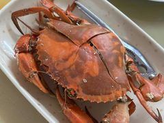 -蚝乡农庄(铁涌赤岸店)