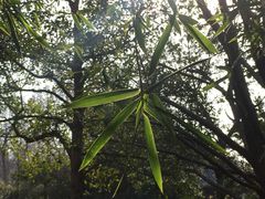 -杭州西湖风景名胜区-钱祠表忠