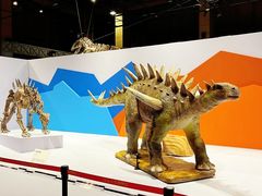 -国家自然博物馆