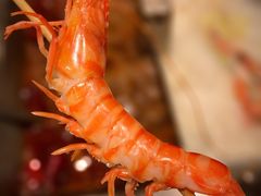 -皇城老妈·大连海鲜火锅(港湾店)