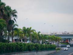 -海堤纪念公园