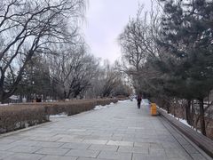 -青城公园