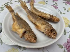 小黄鱼-小河无名面馆
