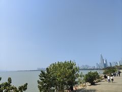 -深圳湾公园(南山区)