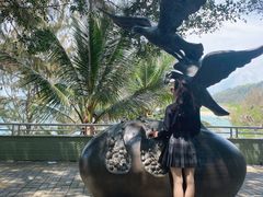 -广东惠东海龟国家级自然保护区