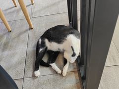 -屋里家延边朝鲜族冷面(梅林3店)