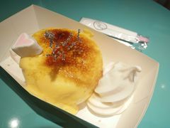 -狐狸和向日葵(北京路店)