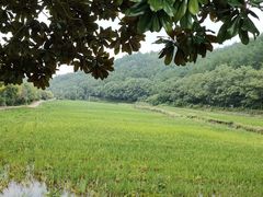 -韶山毛泽东同志故居