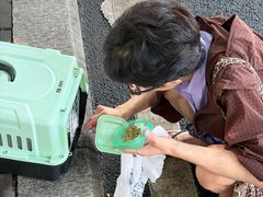 -动物缘宠物医院·骨科·猫科(西二环店)