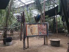-呀路古热带植物园