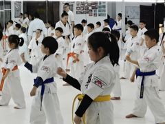 -极真空手道修远道场