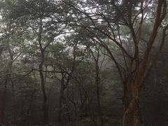 -普陀山佛顶山索道
