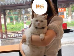 -作咖啡(养育巷店)