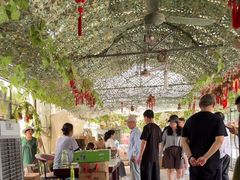 -马陆小张葡萄园农家乐