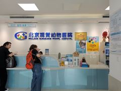 -北京观赏动物医院·24小时大型综合·猫专科·异宠专科
