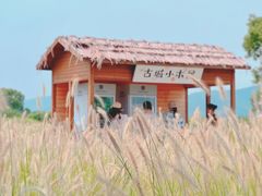 -良渚古城遗址公园
