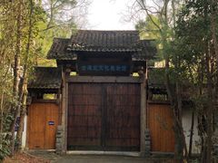 -上海海湾国家森林公园