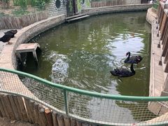 -南宫五洲植物乐园