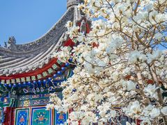 -西安市广仁寺