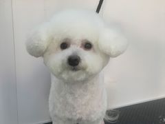 -北京恒爱动物医院(清景园分院)