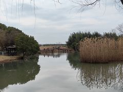 -沙家浜风景区