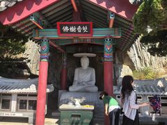 -海东龙宫寺