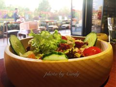 新鲜混合生菜色拉-鹿萤季·营地小馆(皇后公园店)