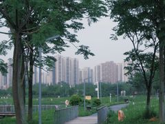 -洋湖国家湿地公园