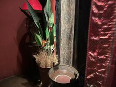 -花马天堂云南餐厅 Lost Heaven(外滩店)