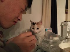 -椰子下蛋(南锣鼓巷店)